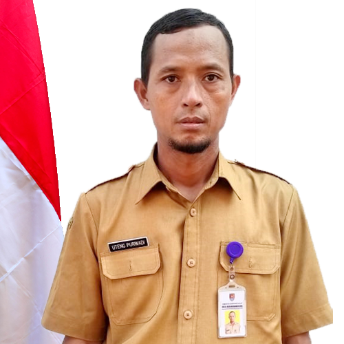 Profil
